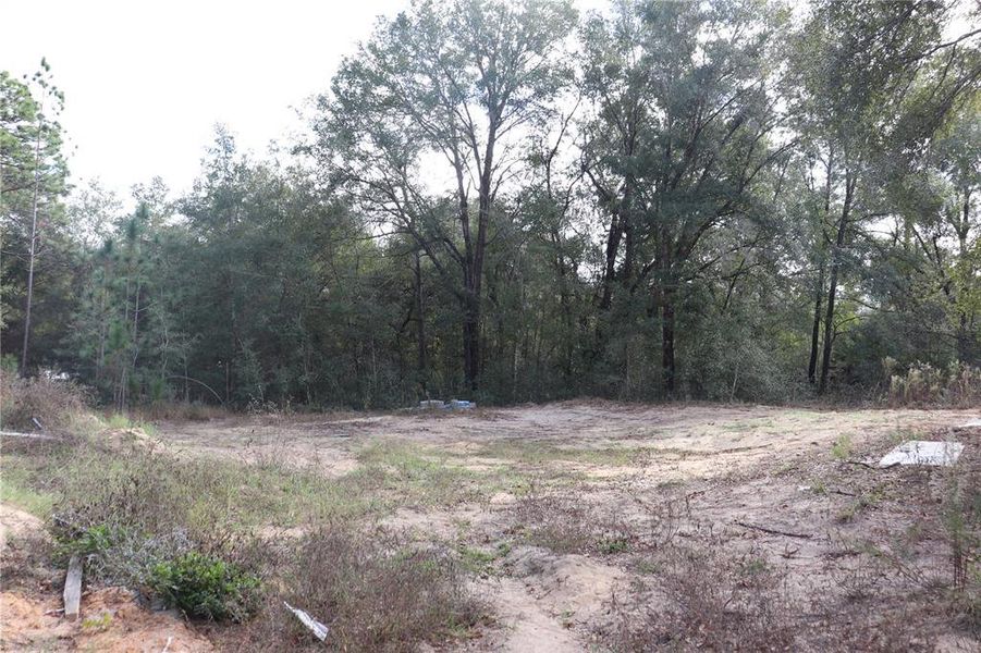 Natural landscape and outdoor views near  in Ocala (Image 24).