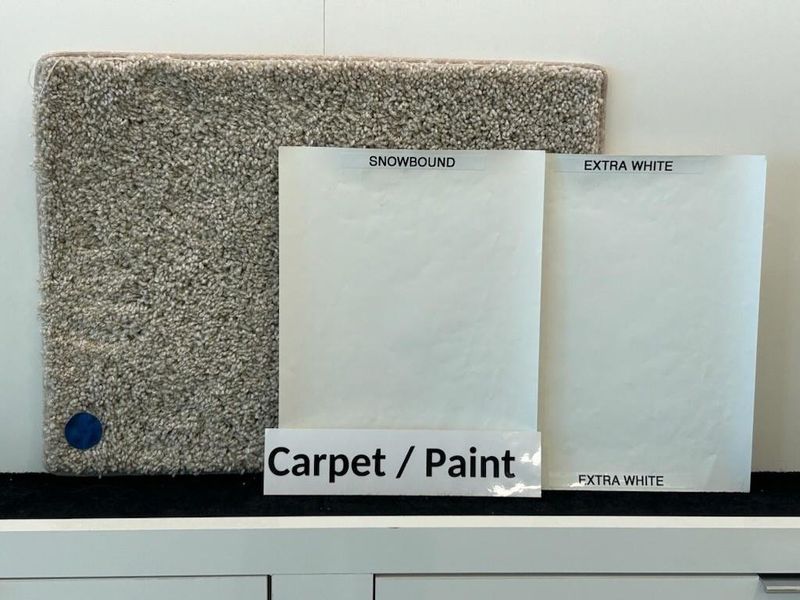 Carpet, wall paint and trim color