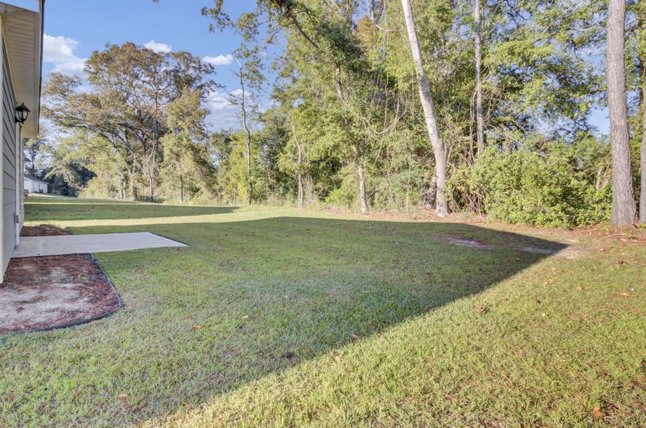 Natural landscape and outdoor views near Center Pointe in Santee (Image 23). Natural landscape and outdoor views near Center Pointe in Santee (Image 23).