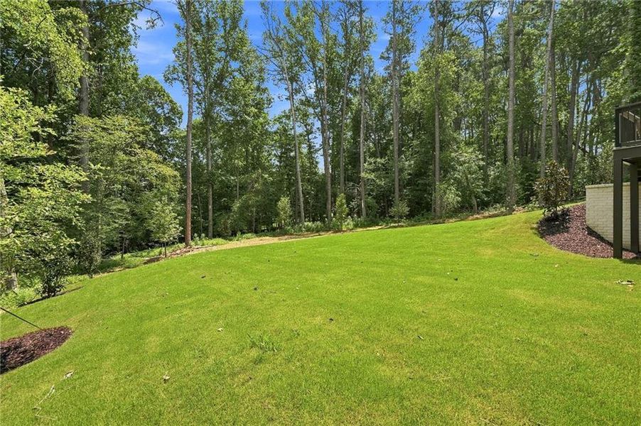 Natural landscape and outdoor views near  in Milton (Image 30).