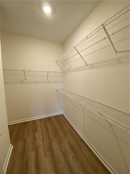 Spacious, unfurnished interior of a new home in Springwood Grove, Central (Image 18).