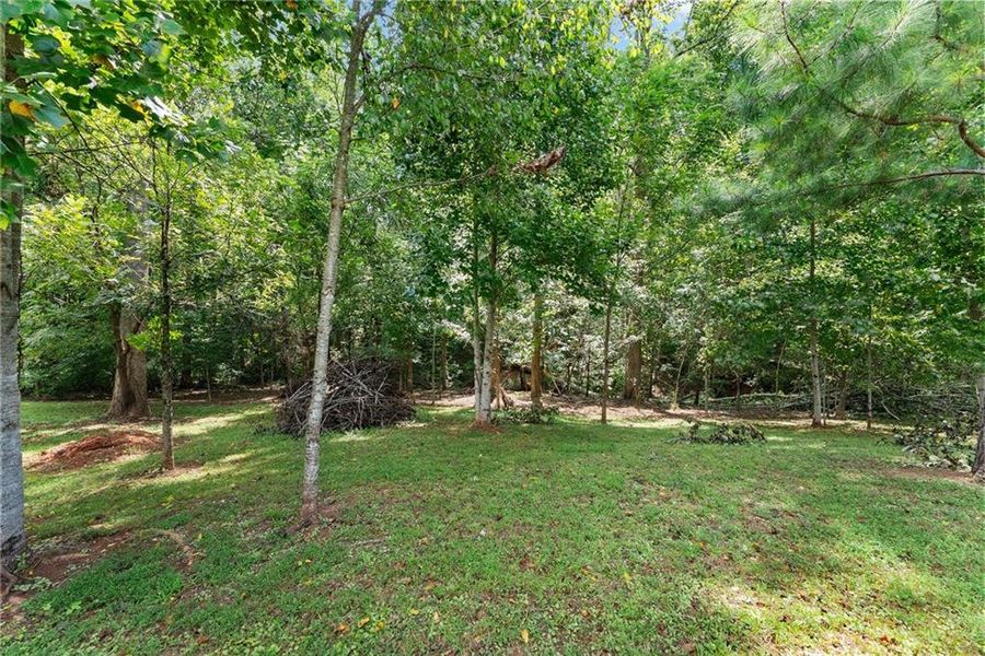 Natural landscape and outdoor views near  in Dawsonville (Image 64).