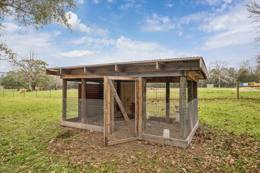 Chicken Coop