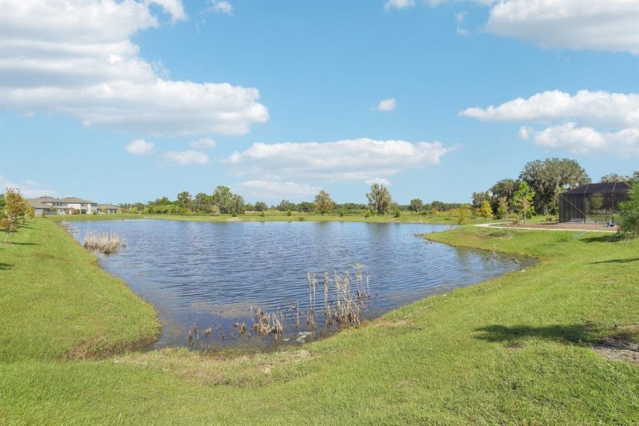 Image 39 of a home in Ellington Traditional. Image 39 of a home in Ellington Traditional.