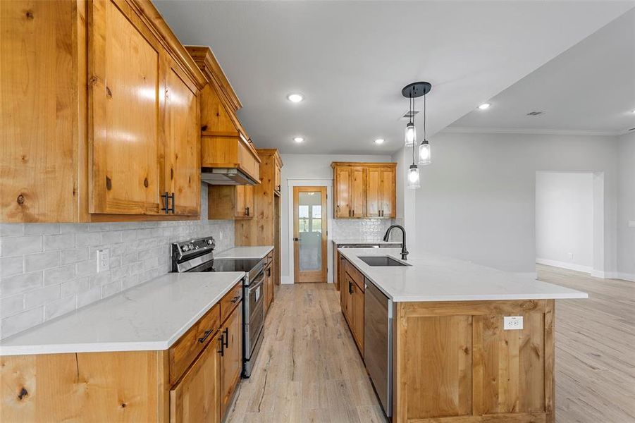 Kitchen featuring tasteful backsplash, light hardwood / wood-style floors, appliances with stainless steel finishes, decorative light fixtures, and sink