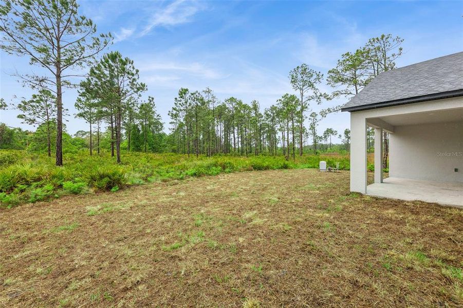Exterior details and patio area of a home in , Eustis (Image 3). Exterior details and patio area of a home in , Eustis (Image 3).
