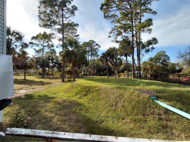 Natural landscape and outdoor views near  in Clewiston (Image 19).