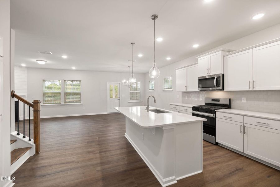 PRO HAMPTON LOT #77 PIC (6)