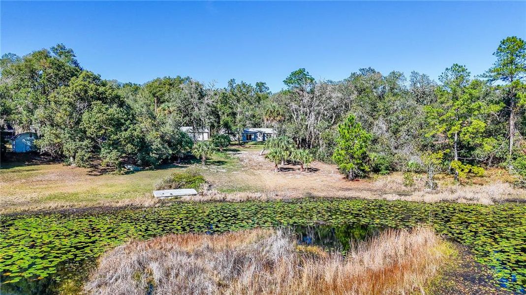 Natural landscape and outdoor views near  in Ocklawaha (Image 39).