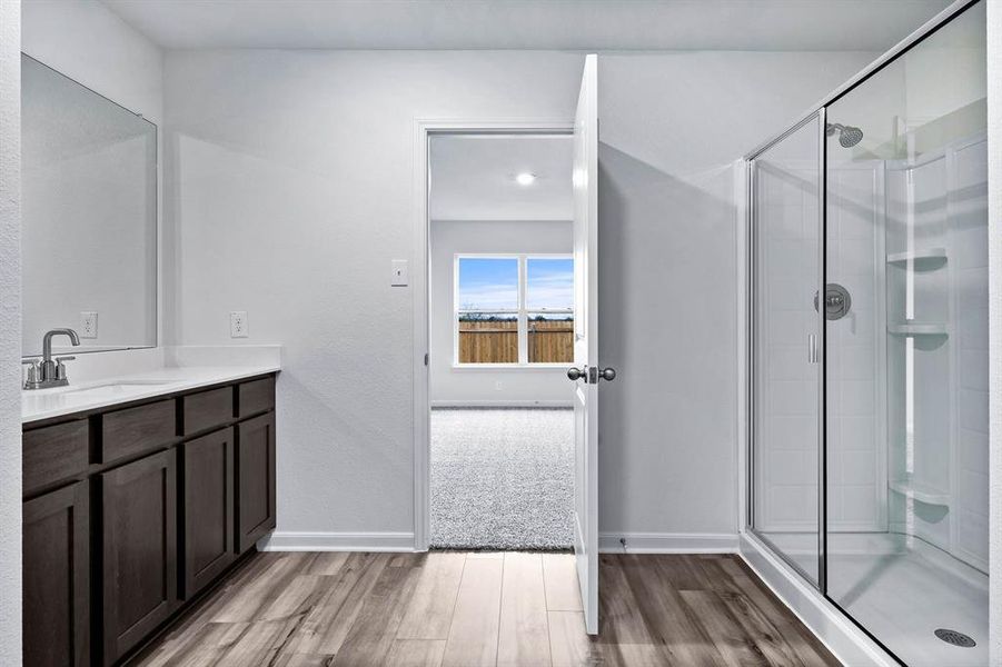 Bathroom featuring walk in shower, wood-type flooring, and vanity