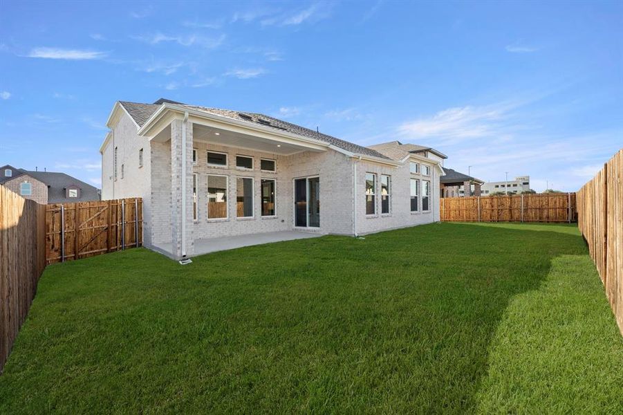 25_26. 912 Firewood - Back