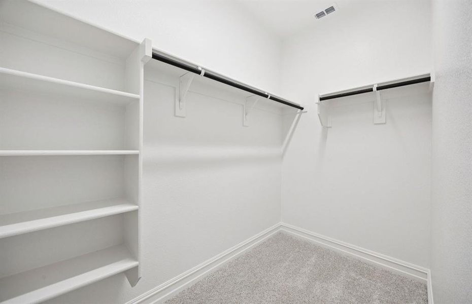 Owner's spacious closet