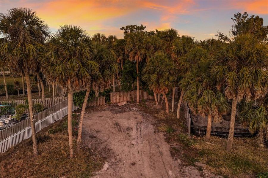 Natural landscape and outdoor views near  in Sarasota (Image 20).