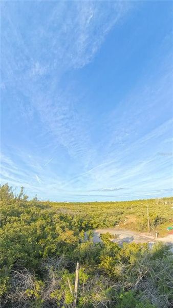 Natural landscape and outdoor views near  in Holmes Beach (Image 6).