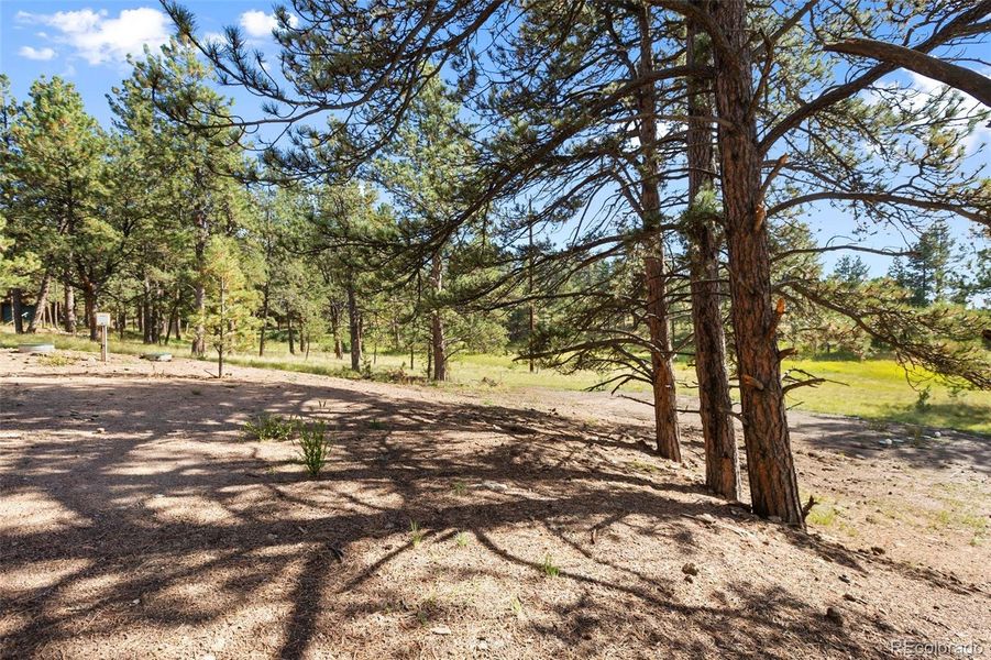 Natural landscape and outdoor views near  in Florissant (Image 36).