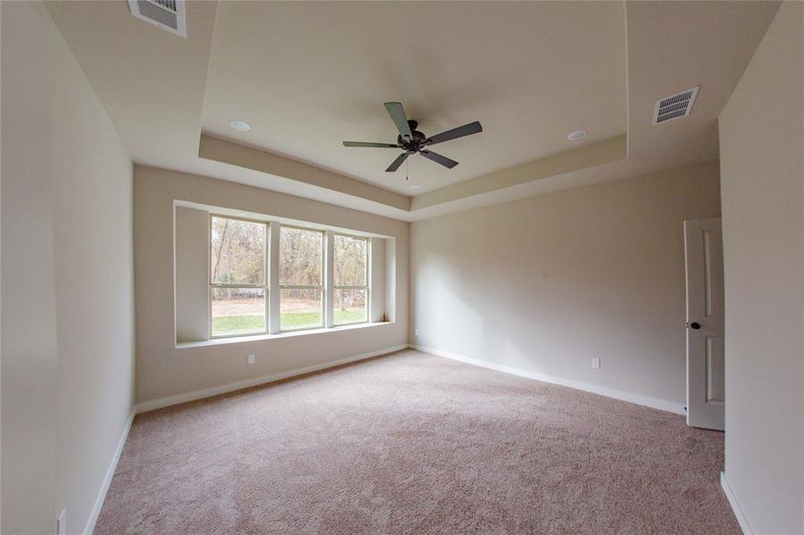 Spare room with a tray ceiling, light colored carpet, and ceiling fan