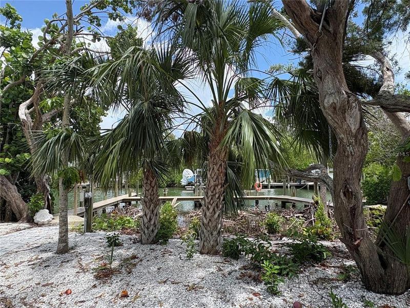 Natural landscape and outdoor views near  in Sarasota (Image 10).