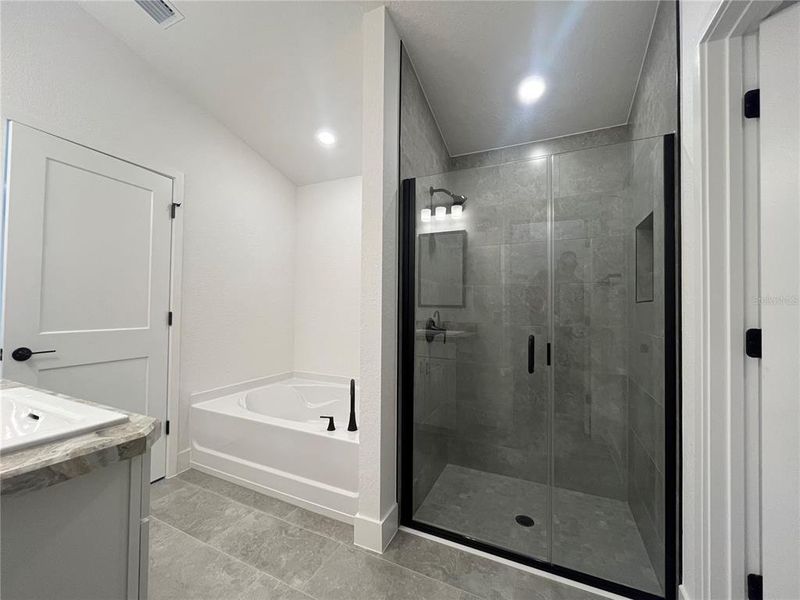 Furnished interior view inside a new home in Orange Blossom Hills, Summerfield (Image 7).