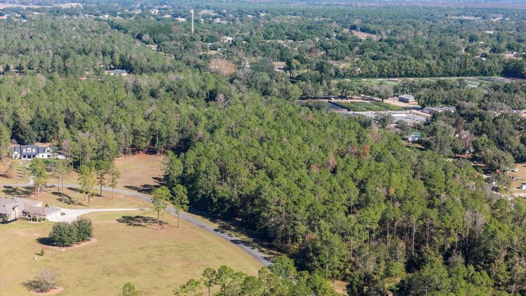 Natural landscape and outdoor views near in Eustis (Image 10). Natural landscape and outdoor views near in Eustis (Image 10).