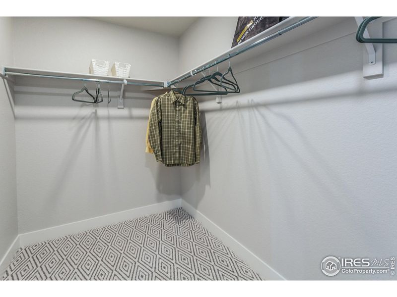 EXAMPLE PHOTO: WALK-IN CLOSET