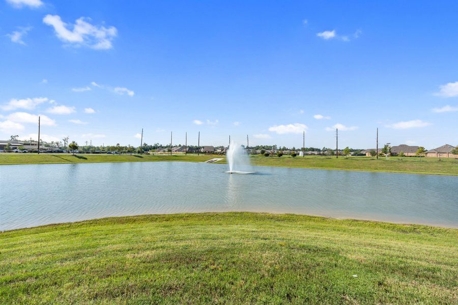 Natural landscape and outdoor views near  in Houston (Image 32).