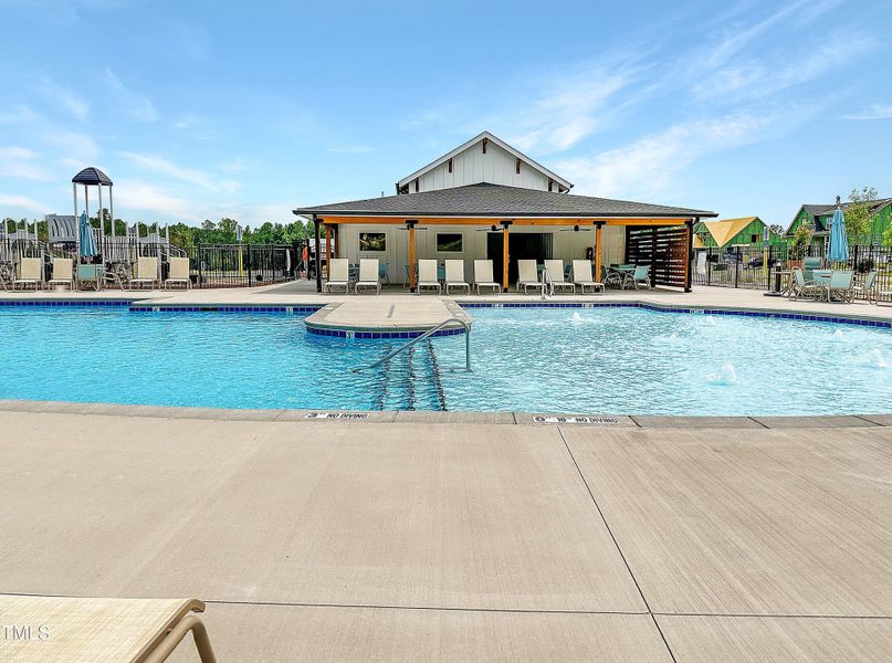 Perch Pool & Playground