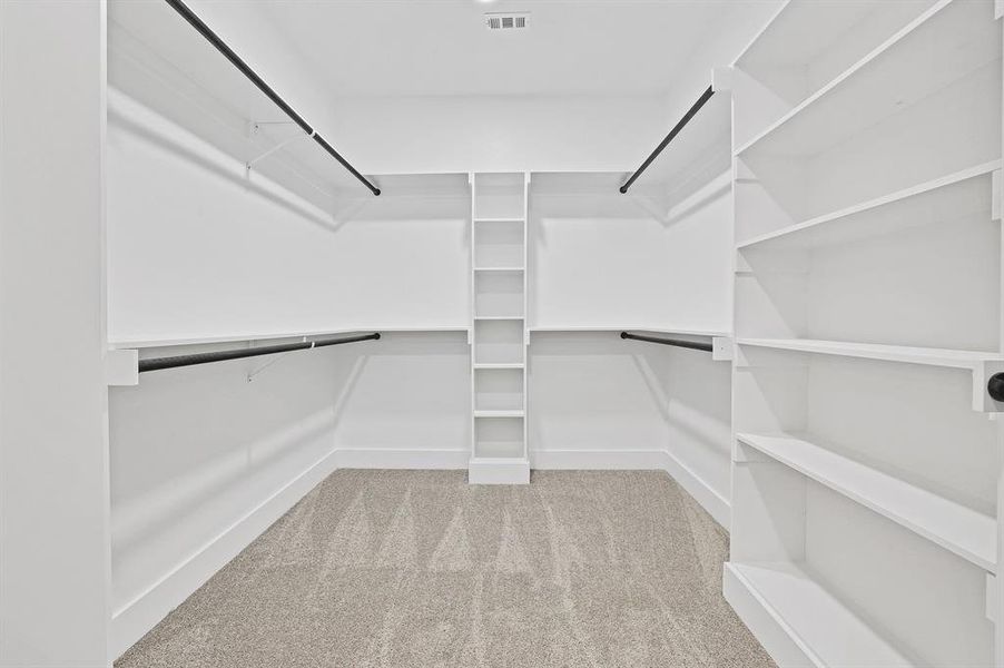 Spacious closet with carpet flooring