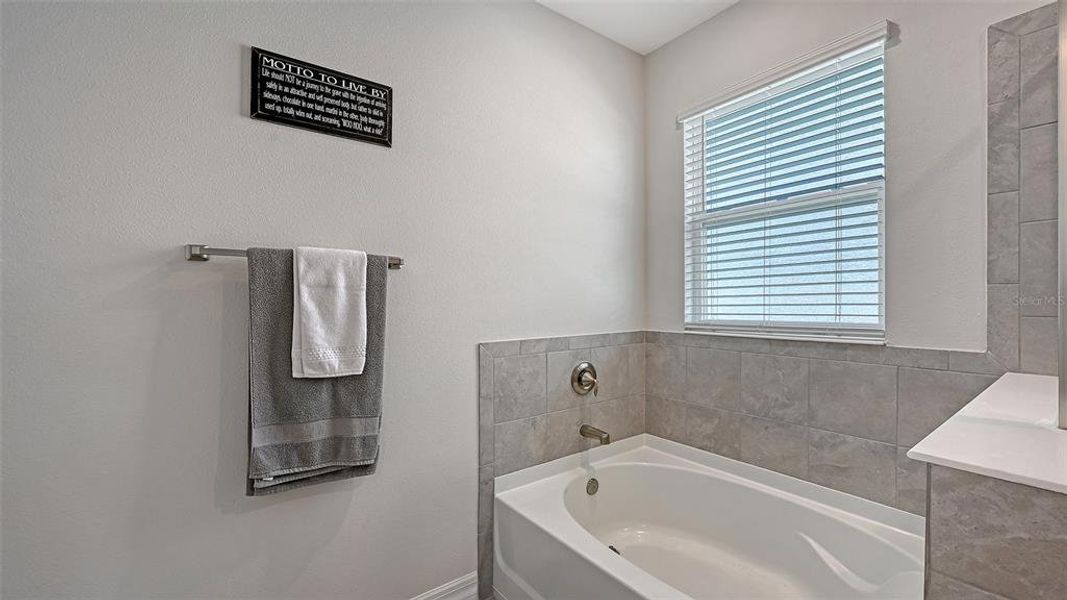 Furnished interior view inside a new home in Solera at Lakewood Ranch, Bradenton (Image 28).