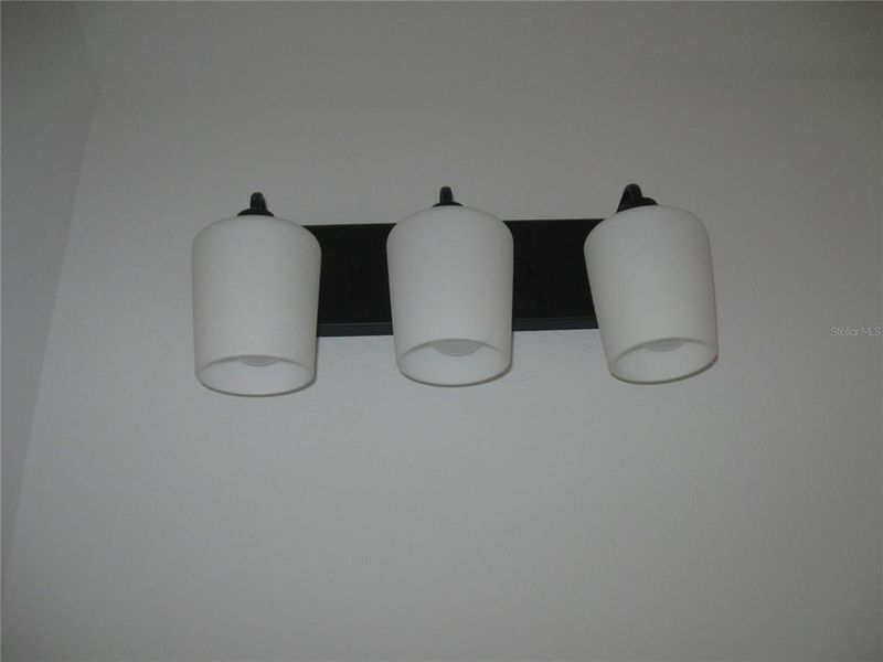 Sample of building materials used in homes in The Preserve at Laurel Lake, Lake City (Image 17).