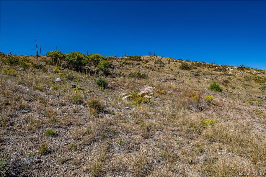 Natural landscape and outdoor views near  in Cotopaxi (Image 22).