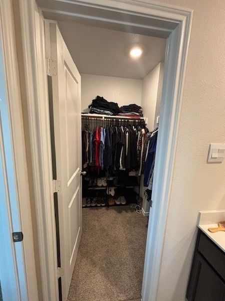 Walk-in closet with carpet flooring, recessed lighting, and built-in shelving