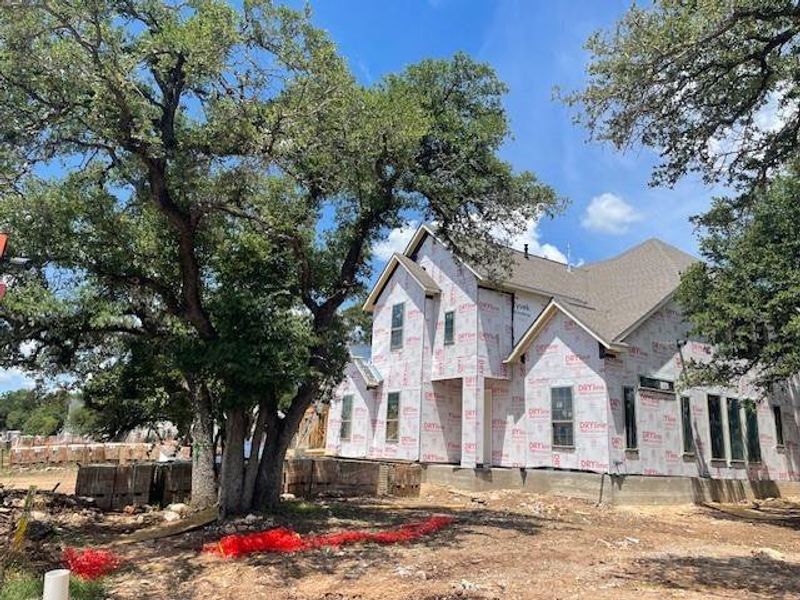 Front Yard Under Construction