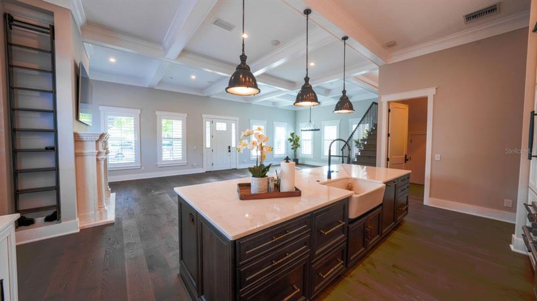 kitchen with ladder to top cabinets