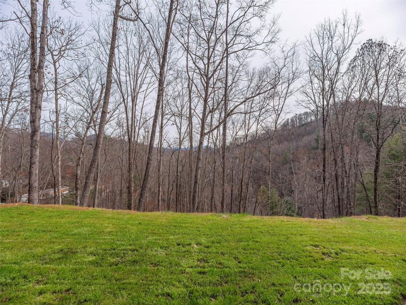 Natural landscape and outdoor views near  in Waynesville (Image 32).