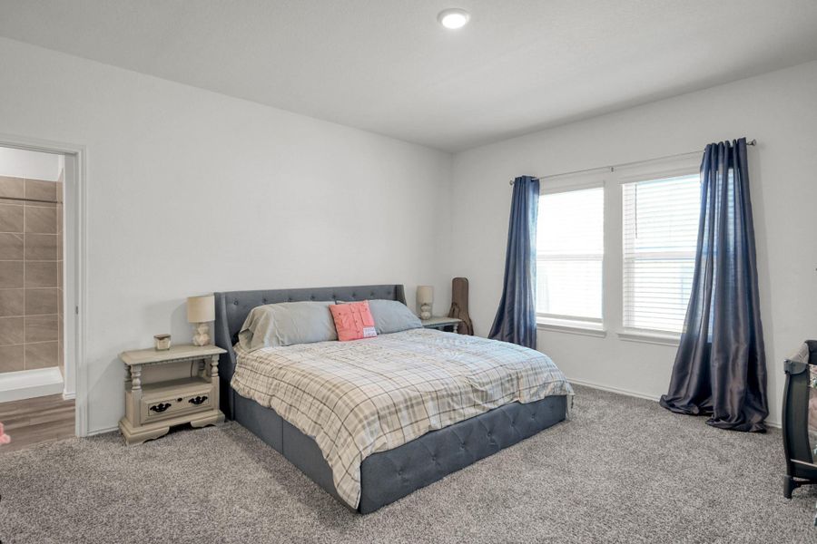 Primary Bedroom Downstairs, with Walk in Closet Primary Bedroom Downstairs, with Walk in Closet