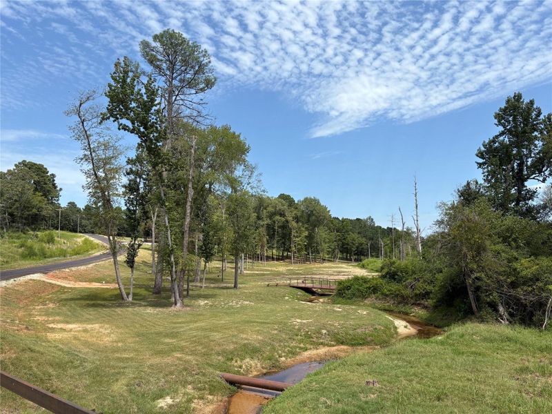 View of property from roadway