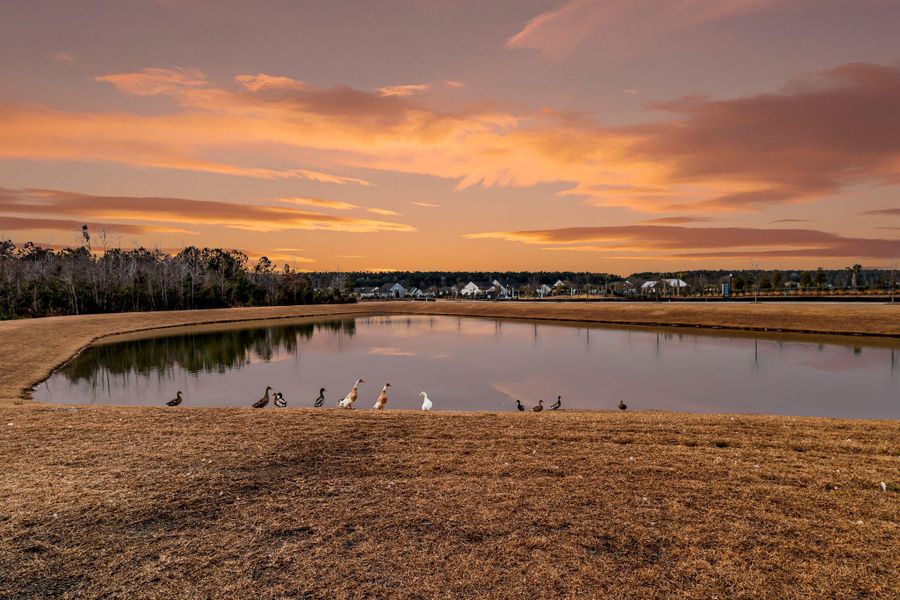 Image 57 of a home in Carnes Crossroads.