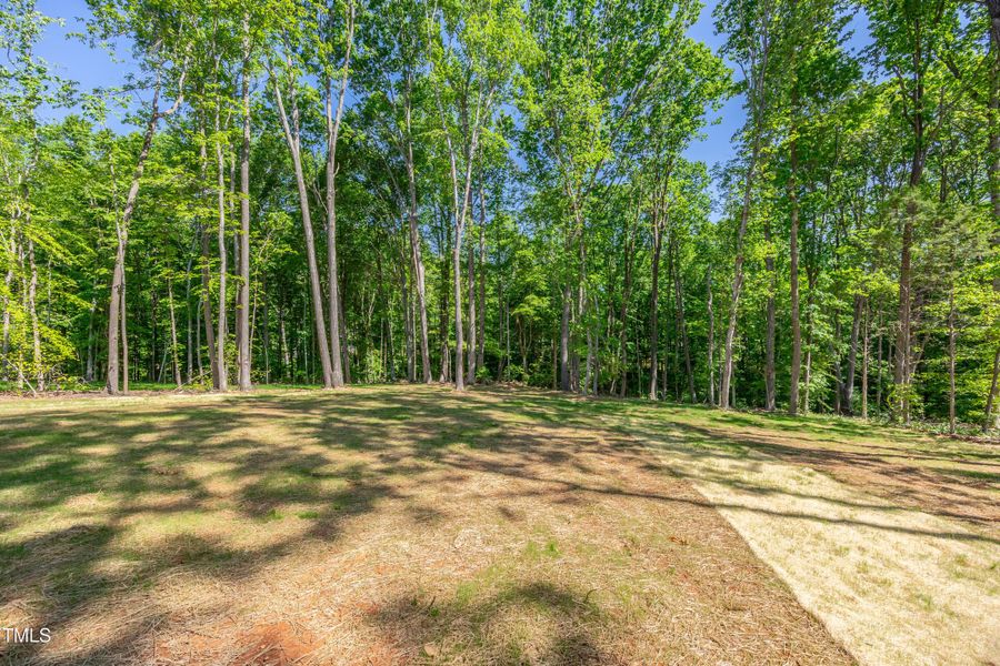 3030 Wesley Farm Lane (2991)-39