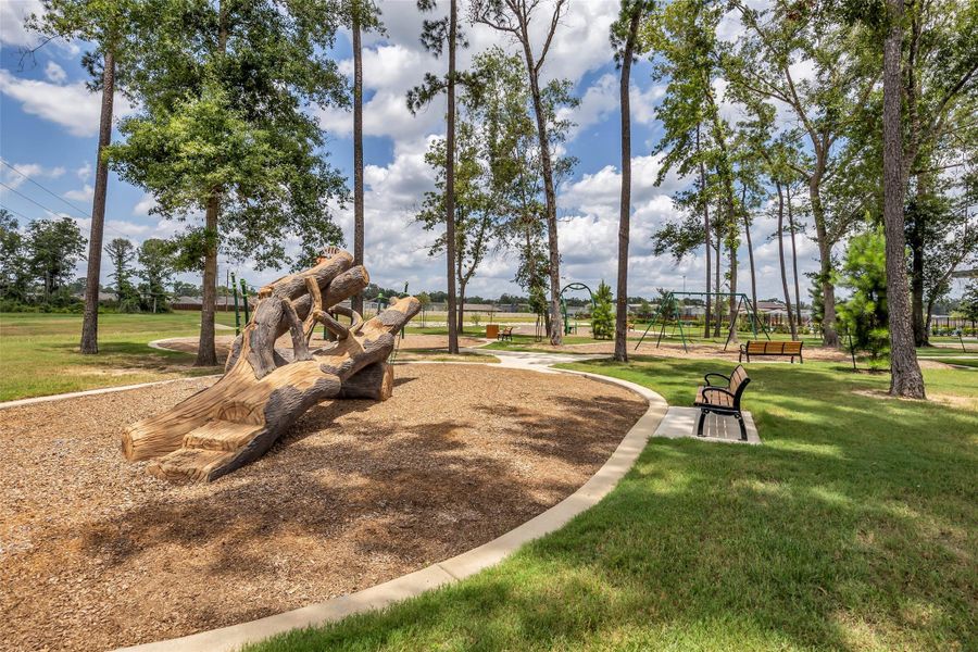 Community amenities in , New Caney (Image 21).