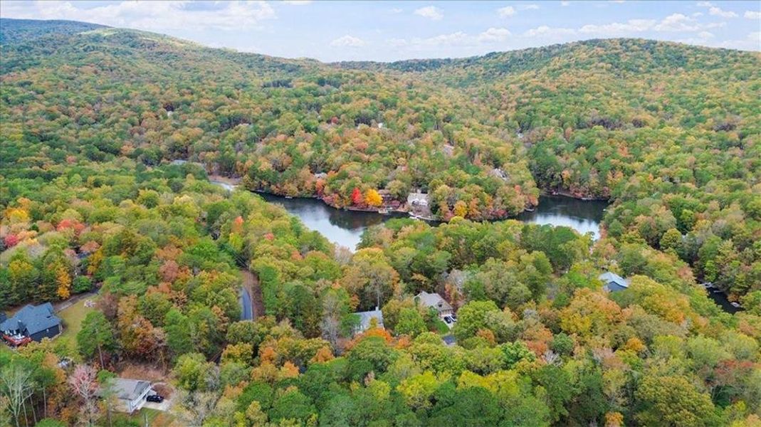 Natural landscape and outdoor views near  in Waleska (Image 7).