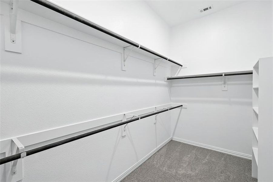 Walk in closet with carpet floors