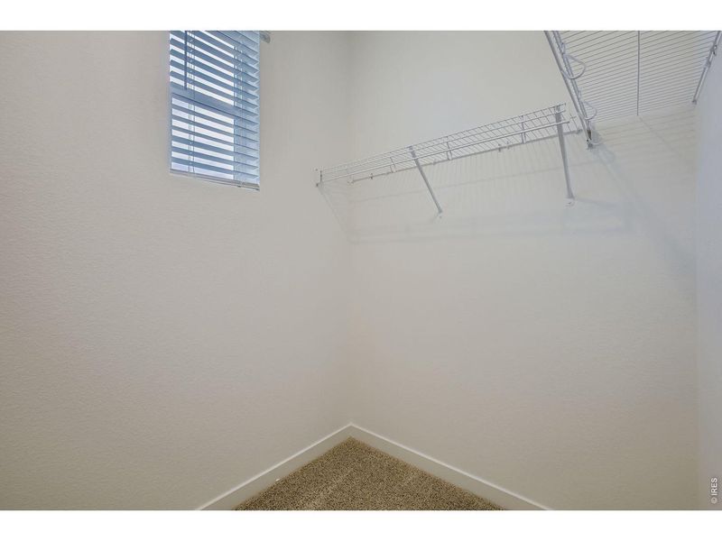 Spacious, unfurnished interior of a new home in , Fort Collins (Image 23).