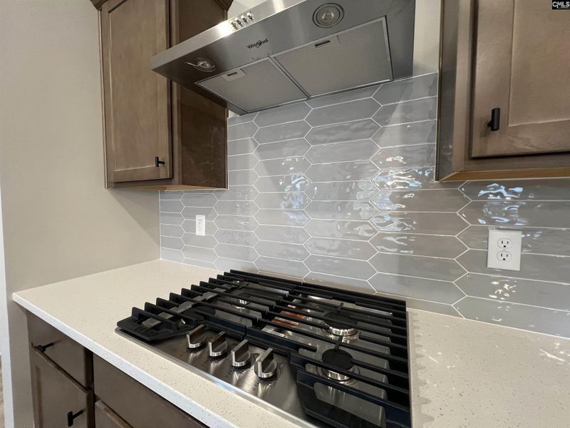 Close-up of interior finishes inside a home in The Cove, Sumter (Image 13).