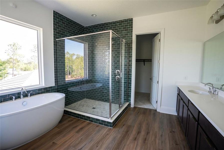 Furnished interior view inside a new home in , Montverde (Image 40).