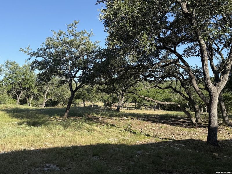 Natural landscape and outdoor views near in Spring Branch (Image 10). Natural landscape and outdoor views near in Spring Branch (Image 10).