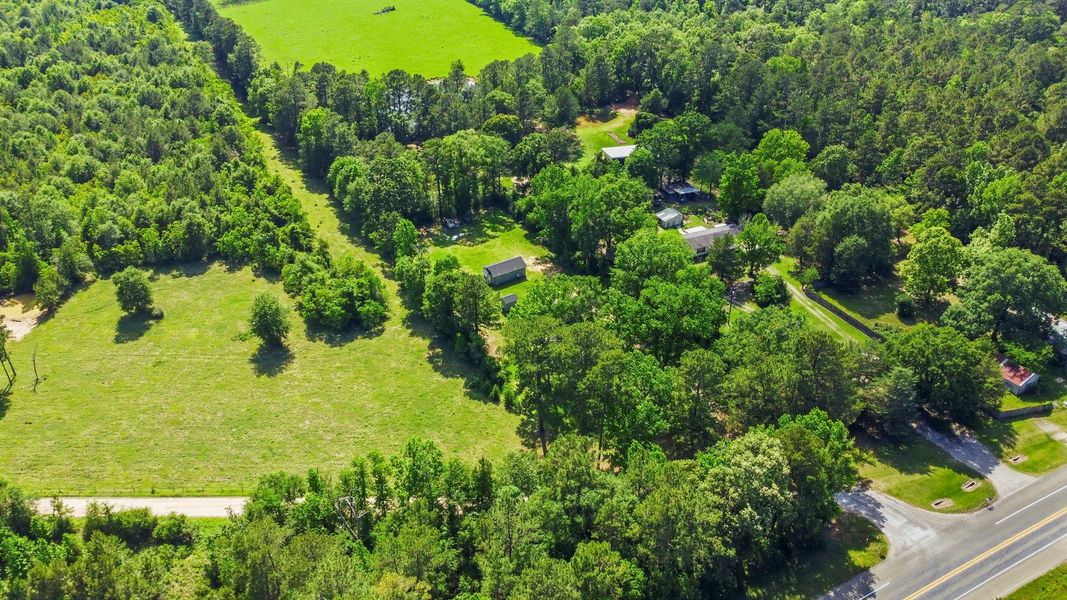 Natural landscape and outdoor views near  in Livingston (Image 38).