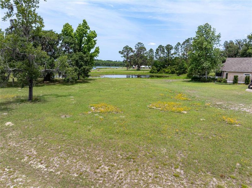 Natural landscape and outdoor views near  in Live Oak (Image 25).
