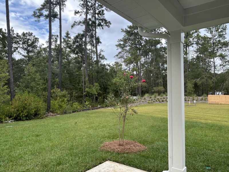Exterior details and patio area of a home in Hammock Walk at Nexton, Summerville (Image 2). Exterior details and patio area of a home in Hammock Walk at Nexton, Summerville (Image 2).