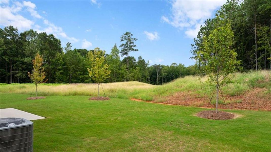 Natural landscape and outdoor views near Walden Park - The Retreat in Jonesboro (Image 48).