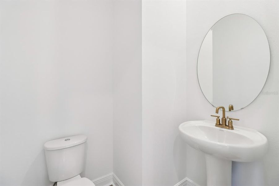 Image 38 of a home in Ardisia Park Estate.